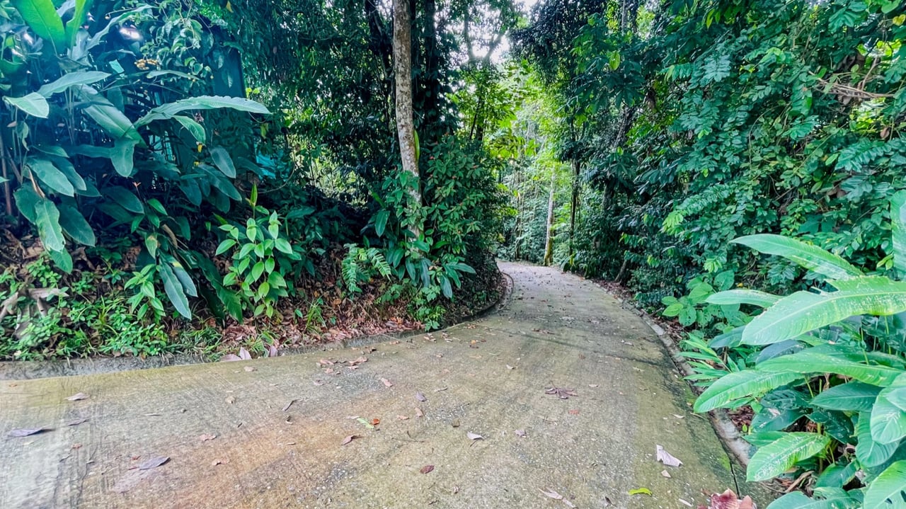 Two Homes on 1.55 Acres with Ocean & Mountain Views – Plus Room to Build!