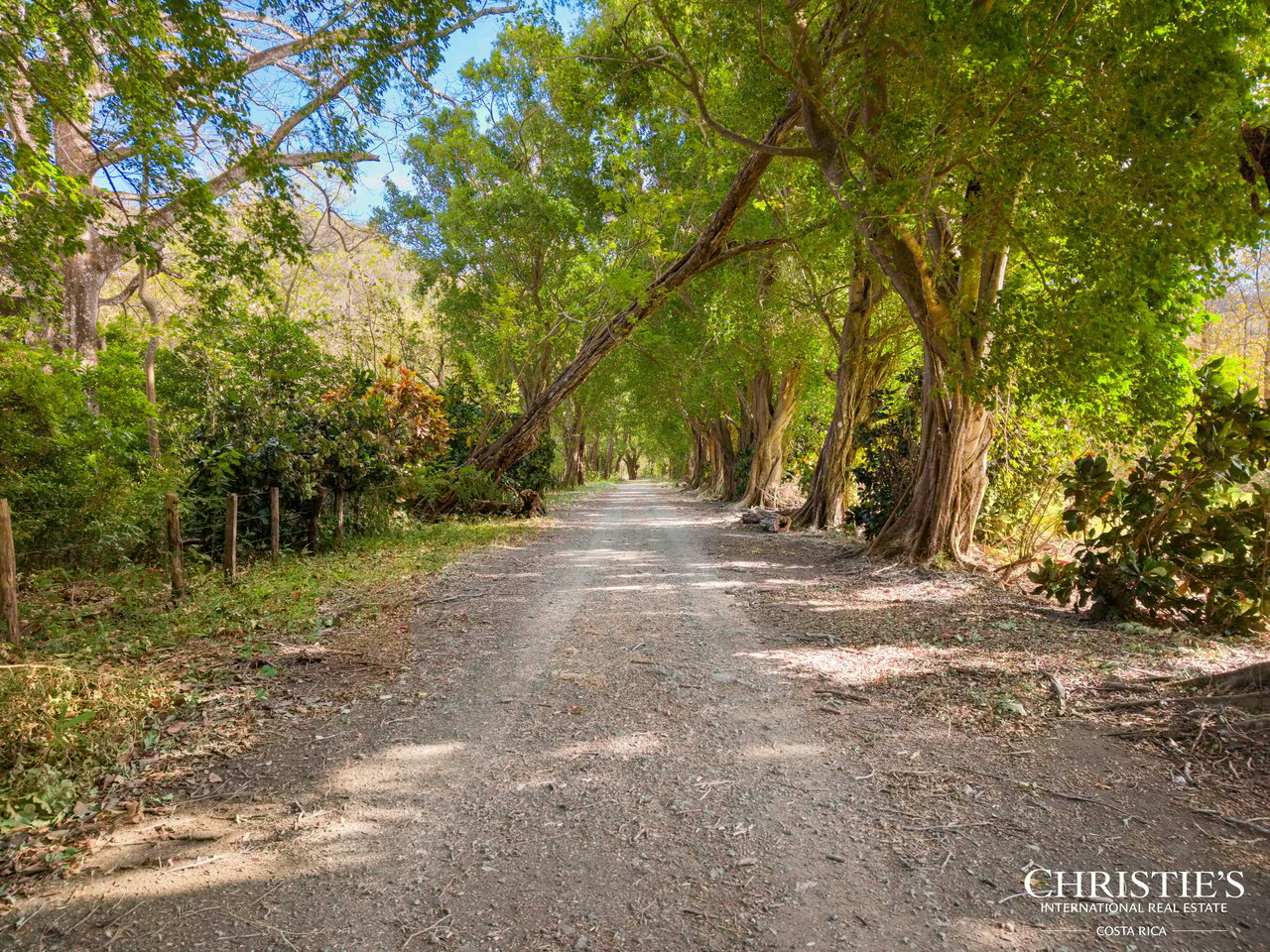 Finca Austria - A 148-Acre Private Estate with Residences, Infrastructure & Expansion Potential