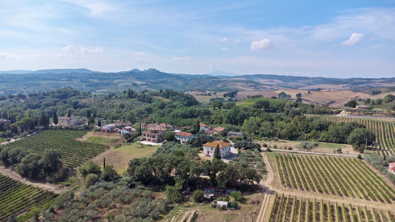 AZIENDA VITIVINICOLA ASCIANELLO