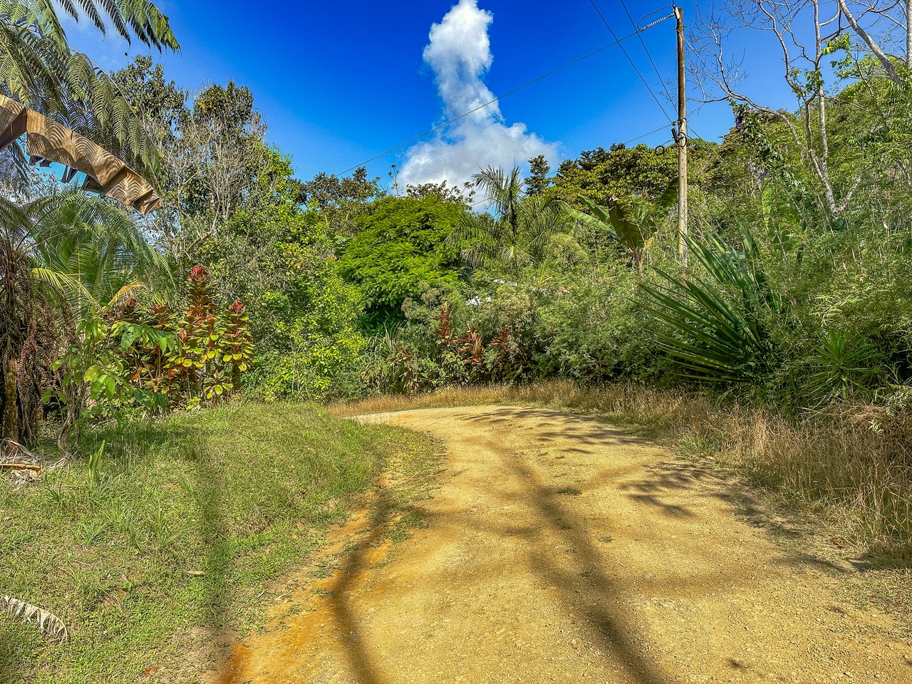 Tinamastes Costa Rica Property with Home, Yoga Deck & Land