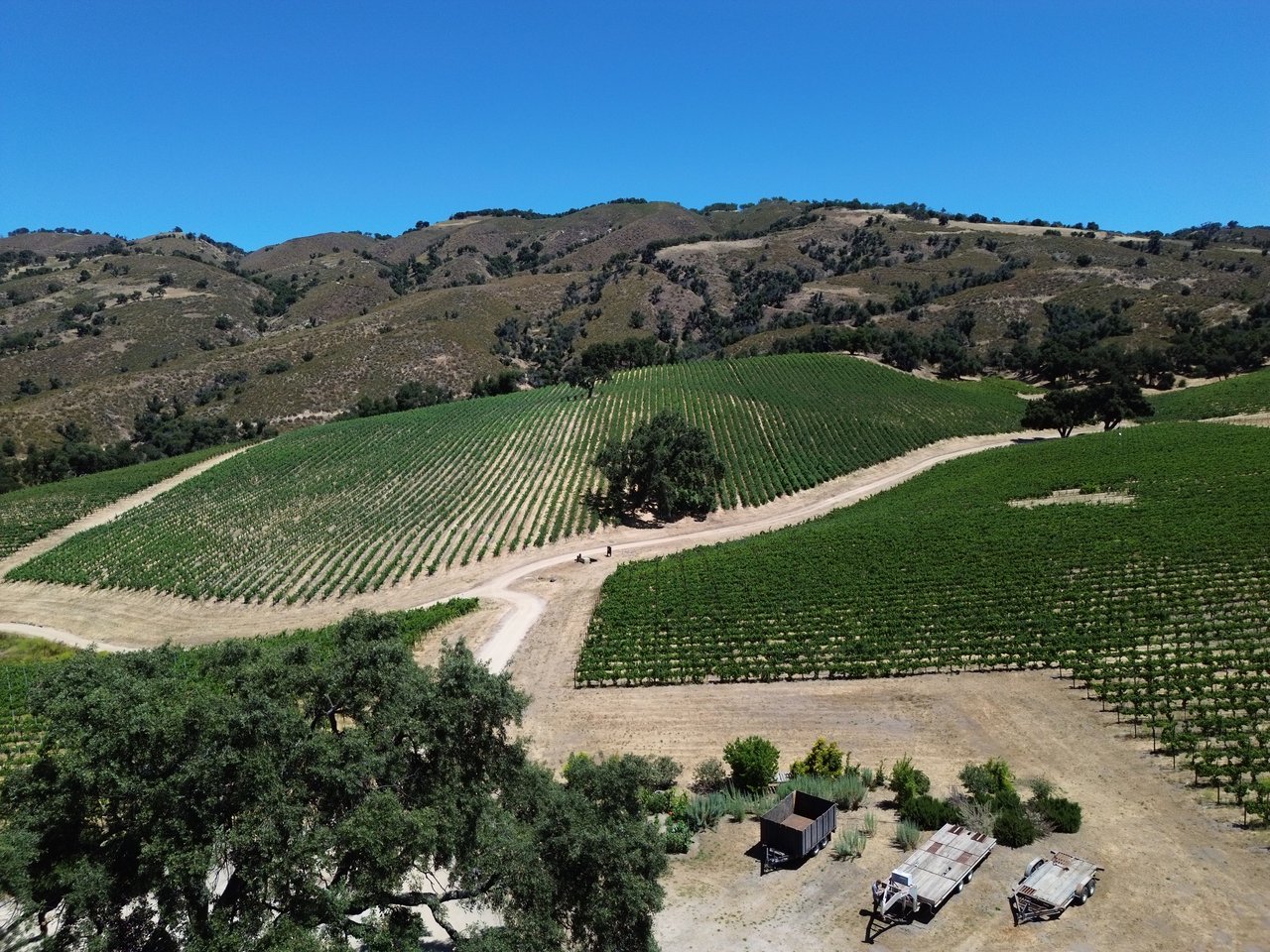 Carmel Valley Village Always Had the Wine. The Rest Caught Up This Year.