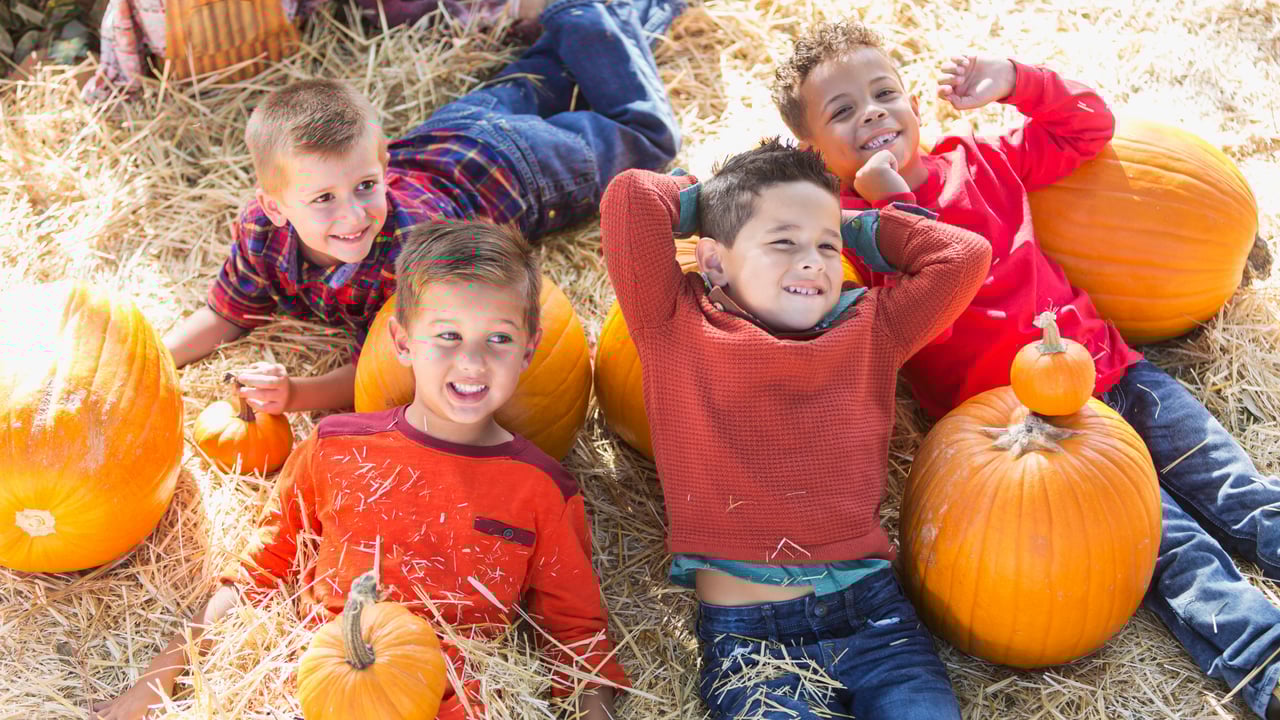 Fall Festivities on the Space Coast 2025