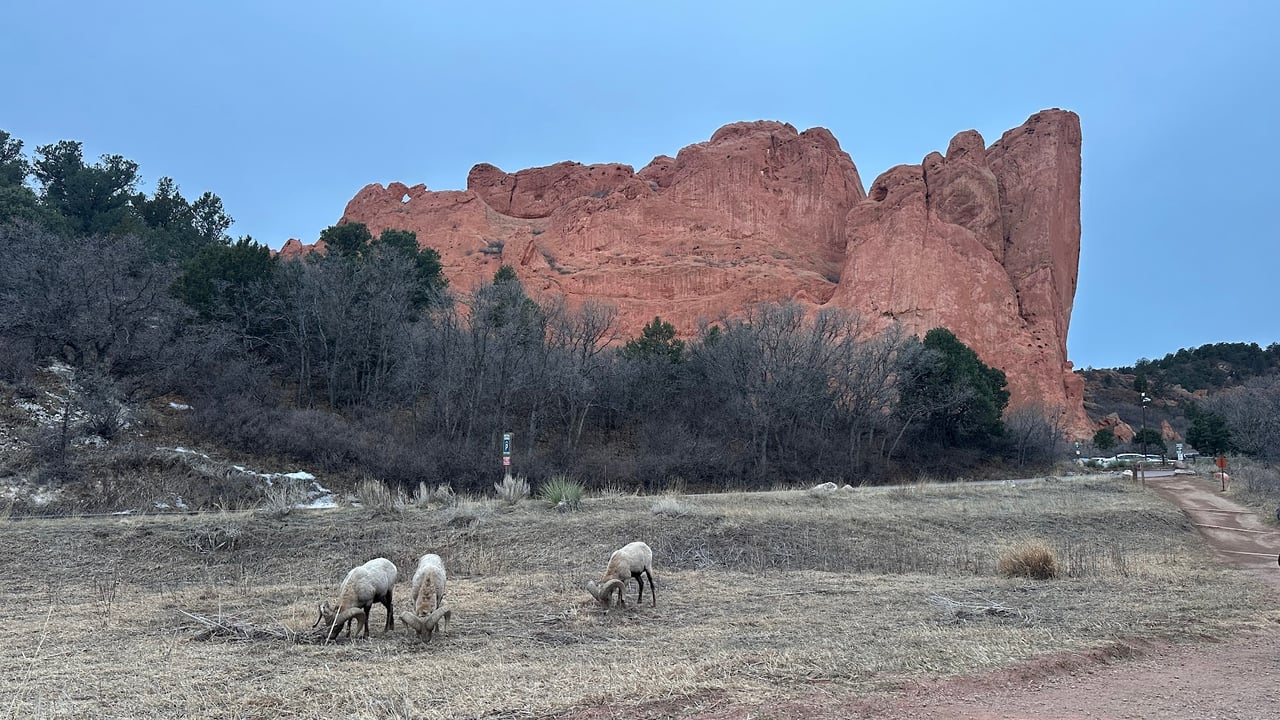 Garden of the Gods: Where Colorado Springs Comes Alive