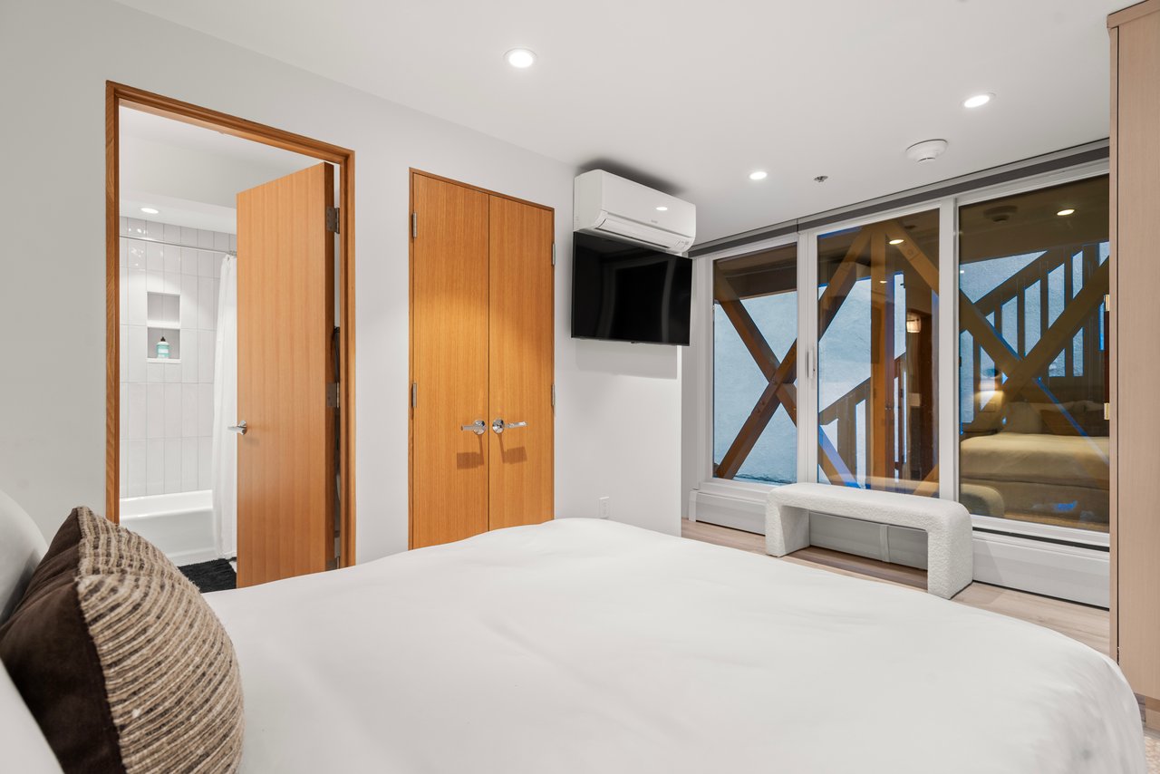 Newly Remodeled Core Condo with Aspen Mountain Views