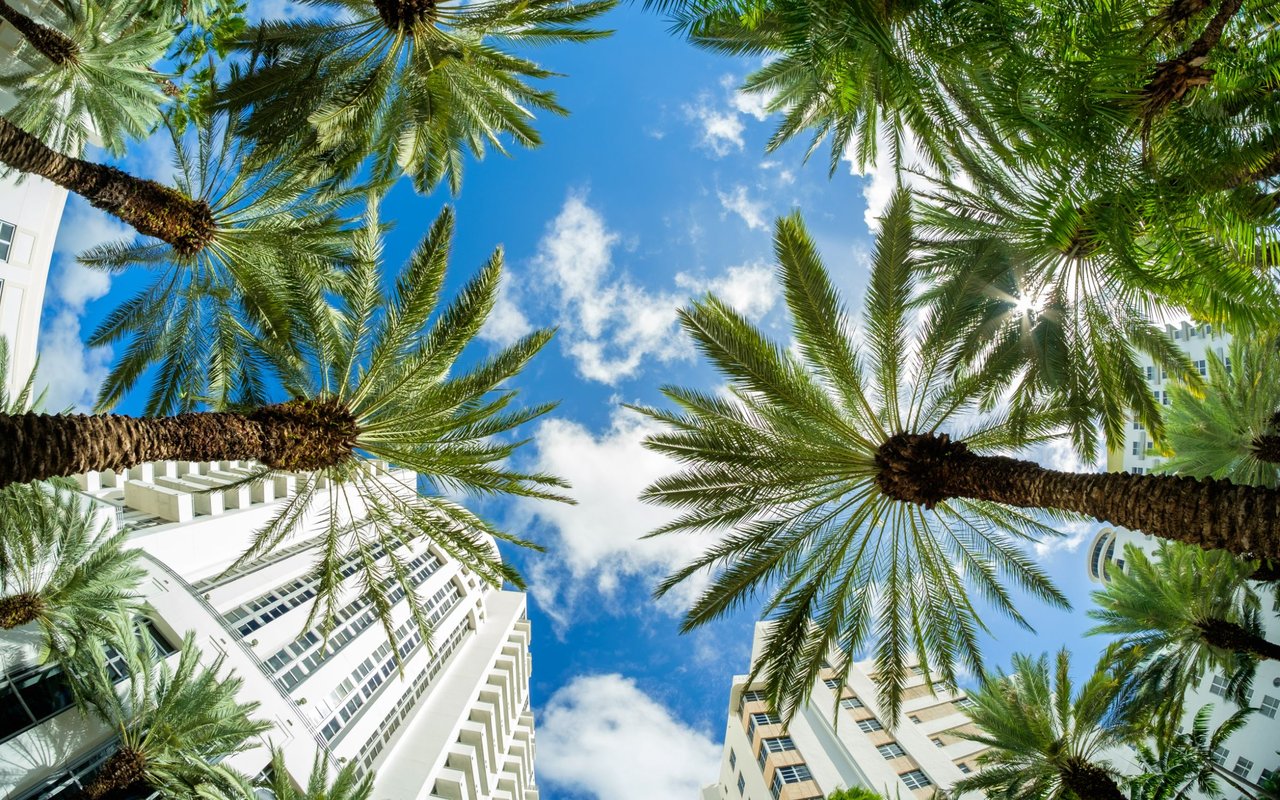 Sun Harbor Condos