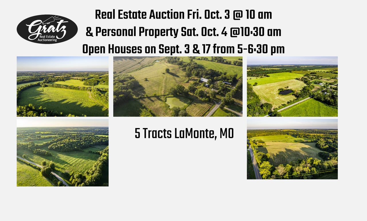 Auction