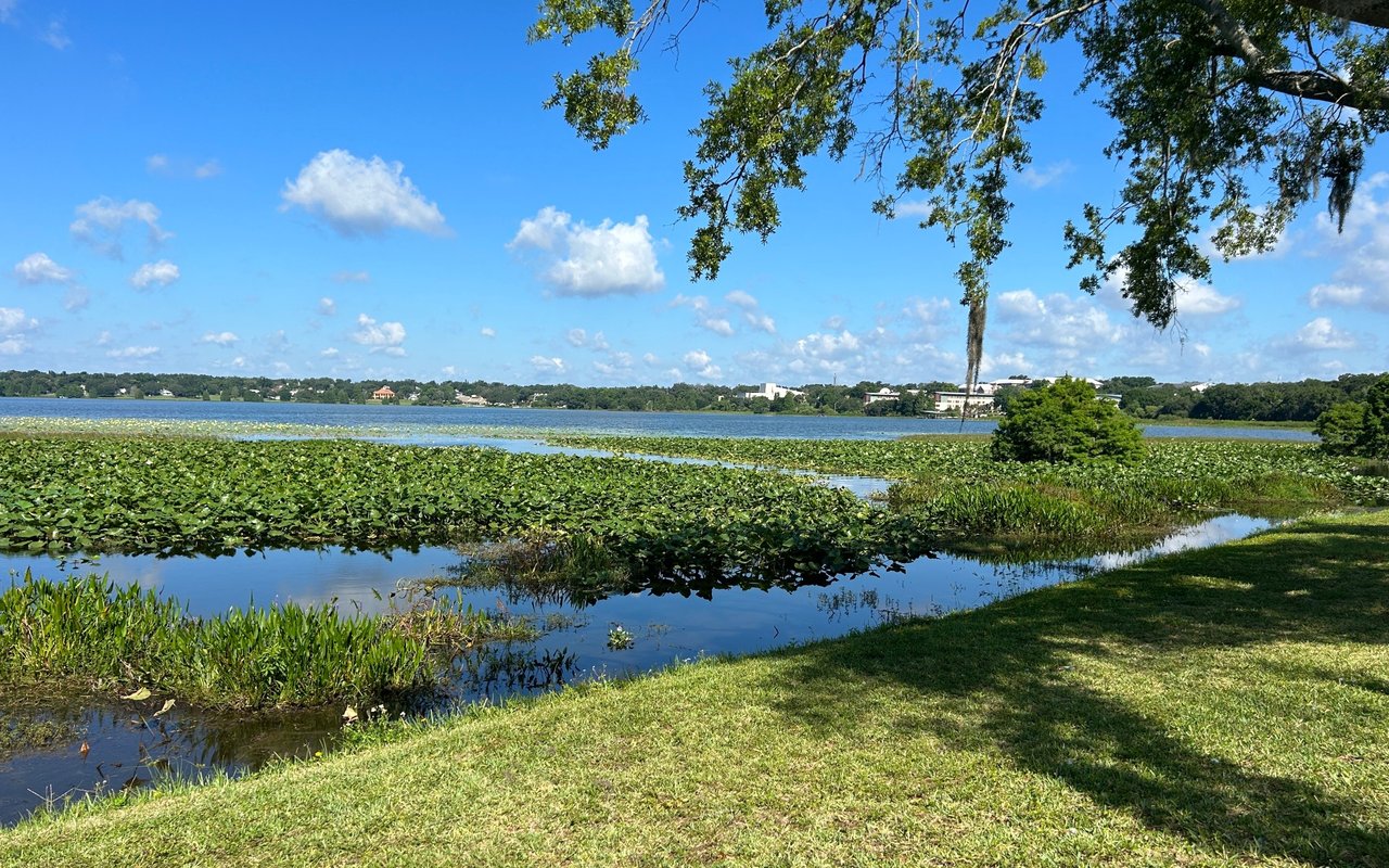 Lake Hollingsworth