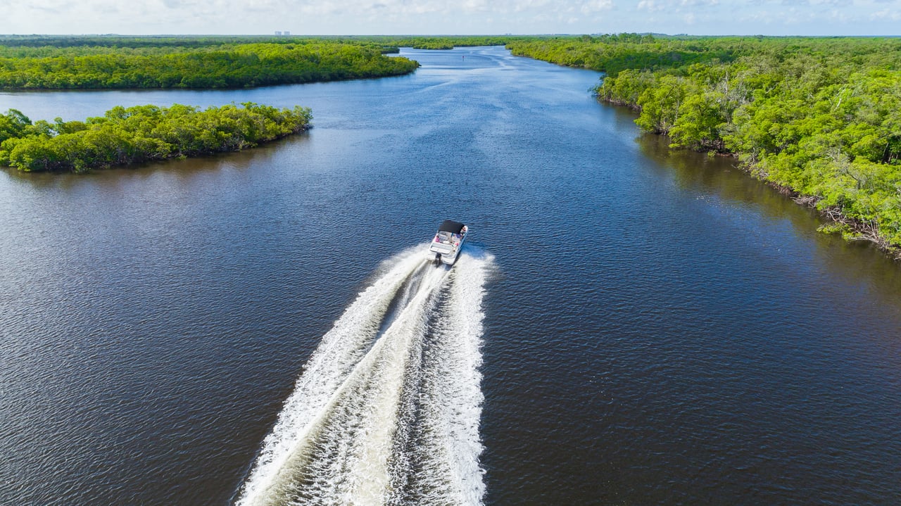 A motorboat speeds along a mangrove-lined waterway, leaving a long white wake.