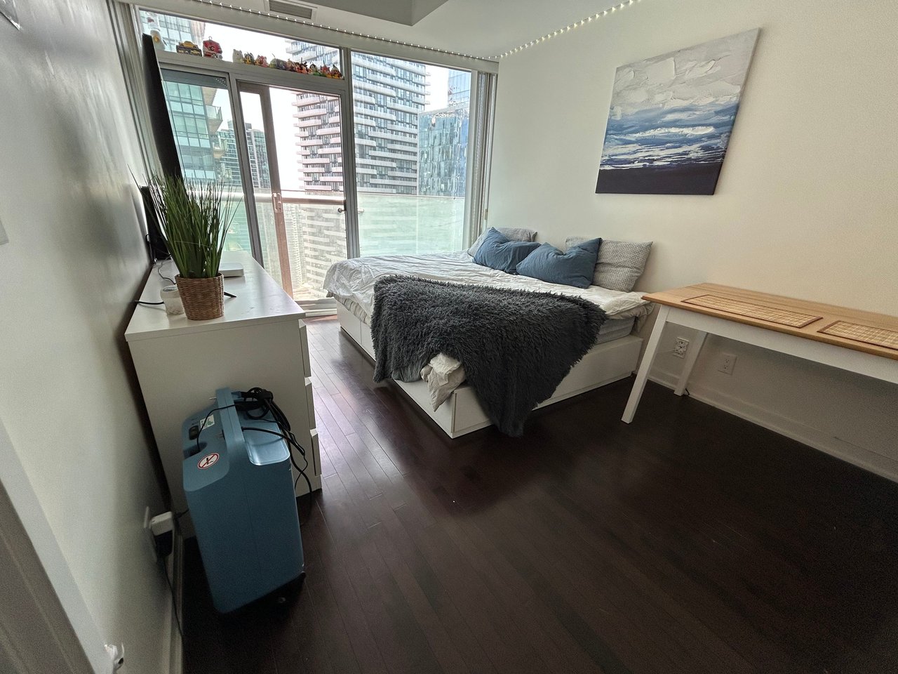 14 York Street Unit: 3602