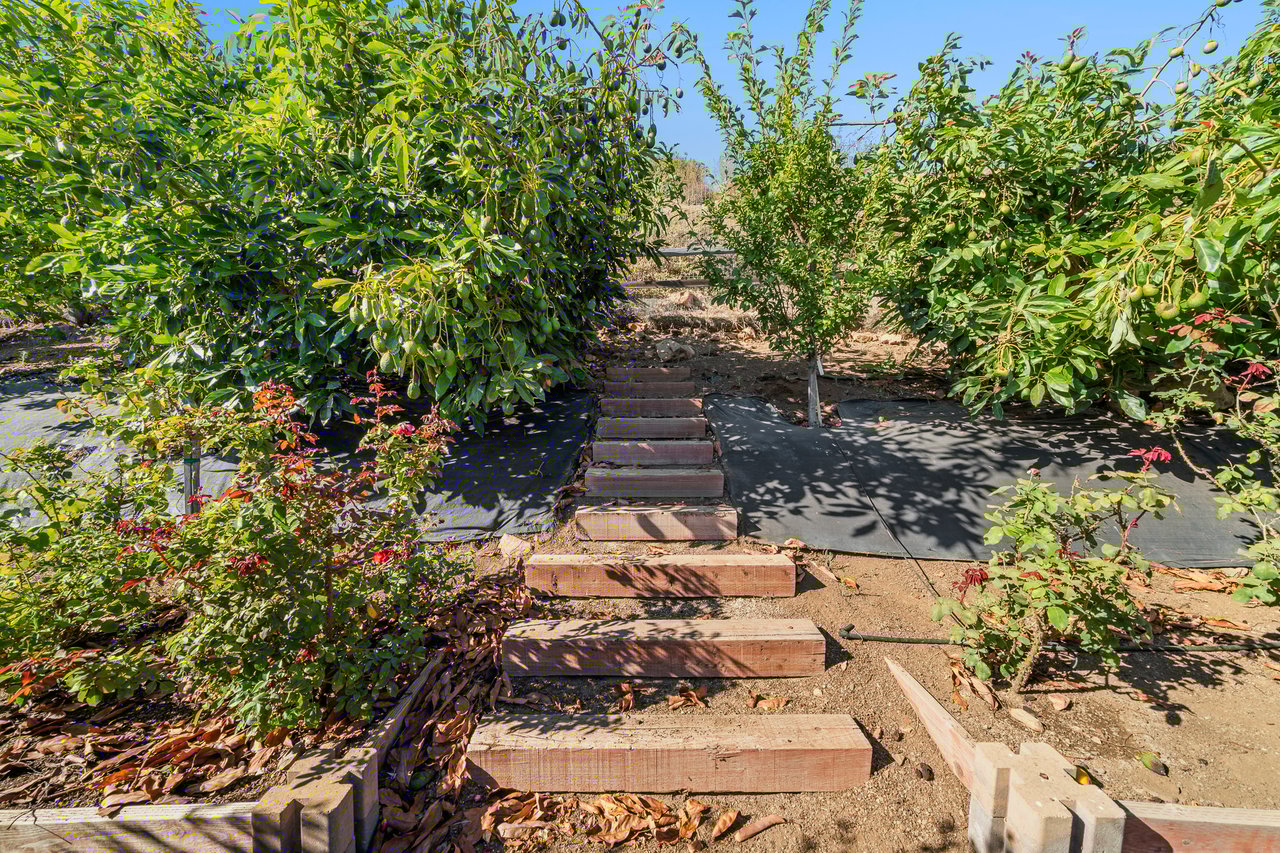 10715 Yerba Buena Rd