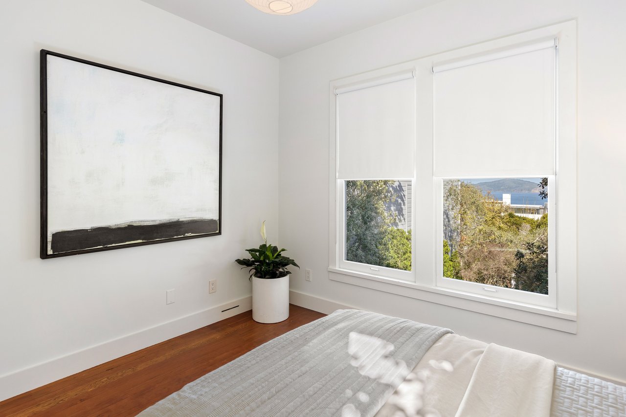 Reimagined Telegraph Hill Edwardian