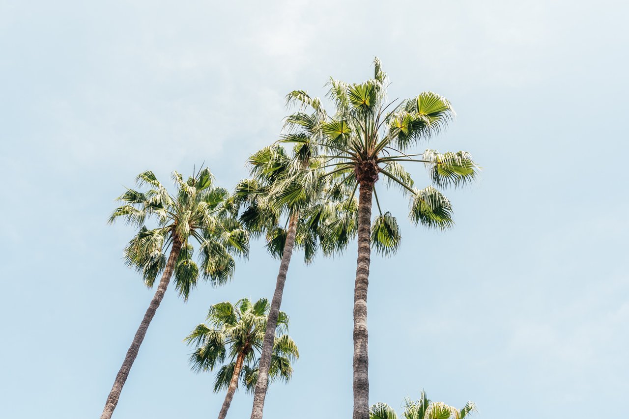 Rebuilding the Pacific Palisades, One Lot at a Time