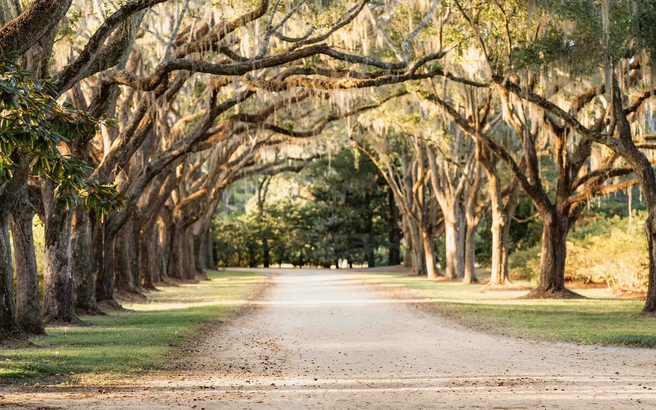 Johns Island