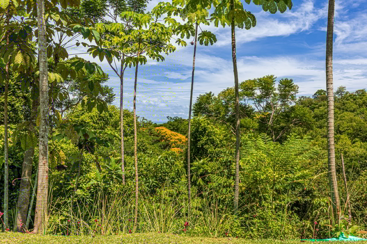 2.56 ACRES – 3 Bedroom Artistic Architectural Masterpiece, Recording Studio, Ocean View, Pool, 1 Bedroom Guest House!!!