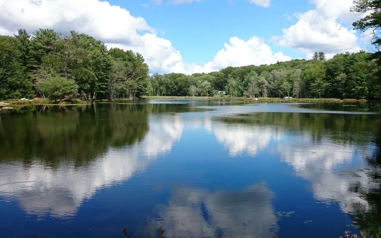 Sullivan County 