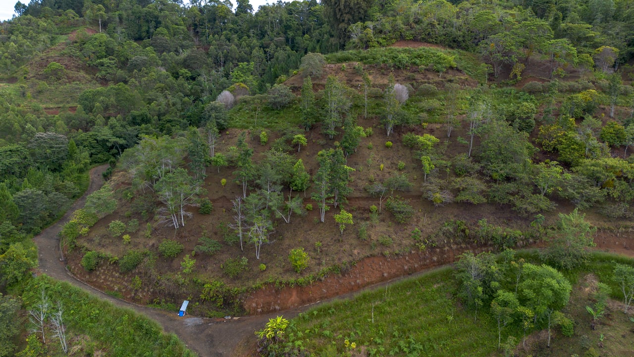 10.21 Acres with Views & Plantels – Pérez Zeledón