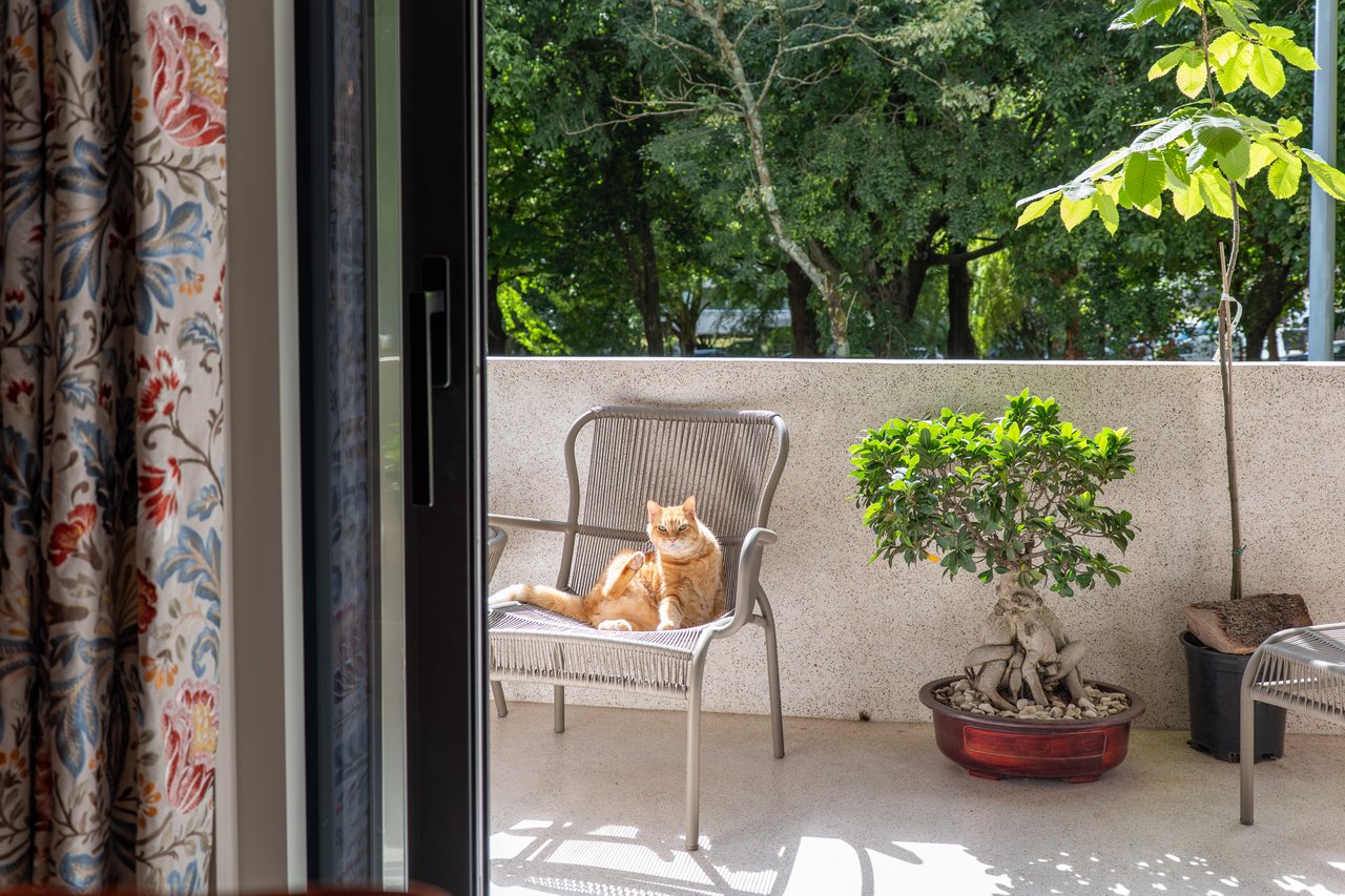 Exceptional Fully Renovated 2+1 Bedroom Apartment in Boavista, Porto