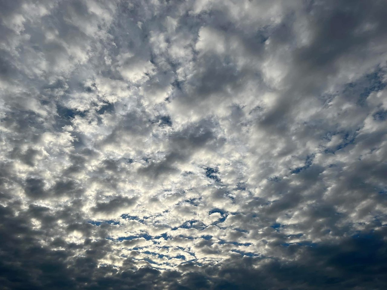 July 2025 Real Estate Newsletter