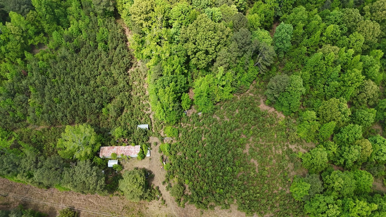 268 Ogletree Road