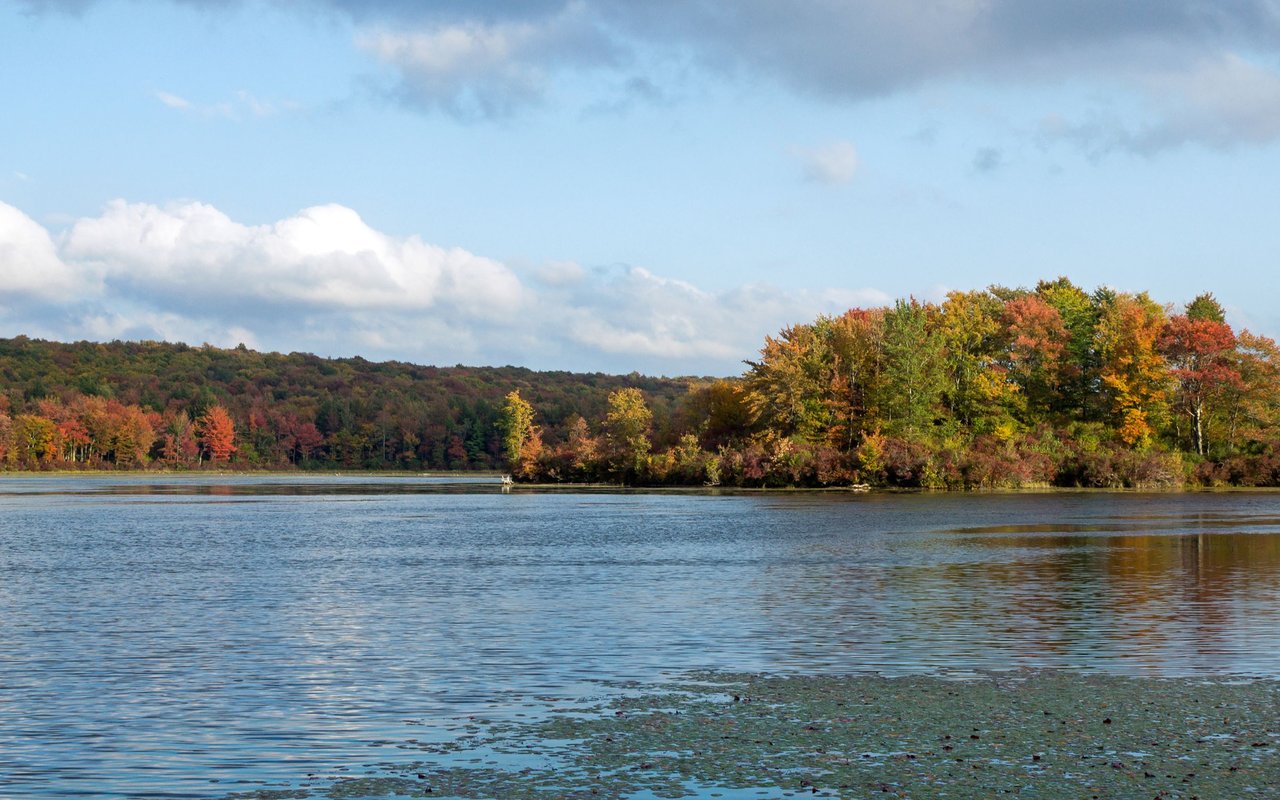 Gouldsboro
