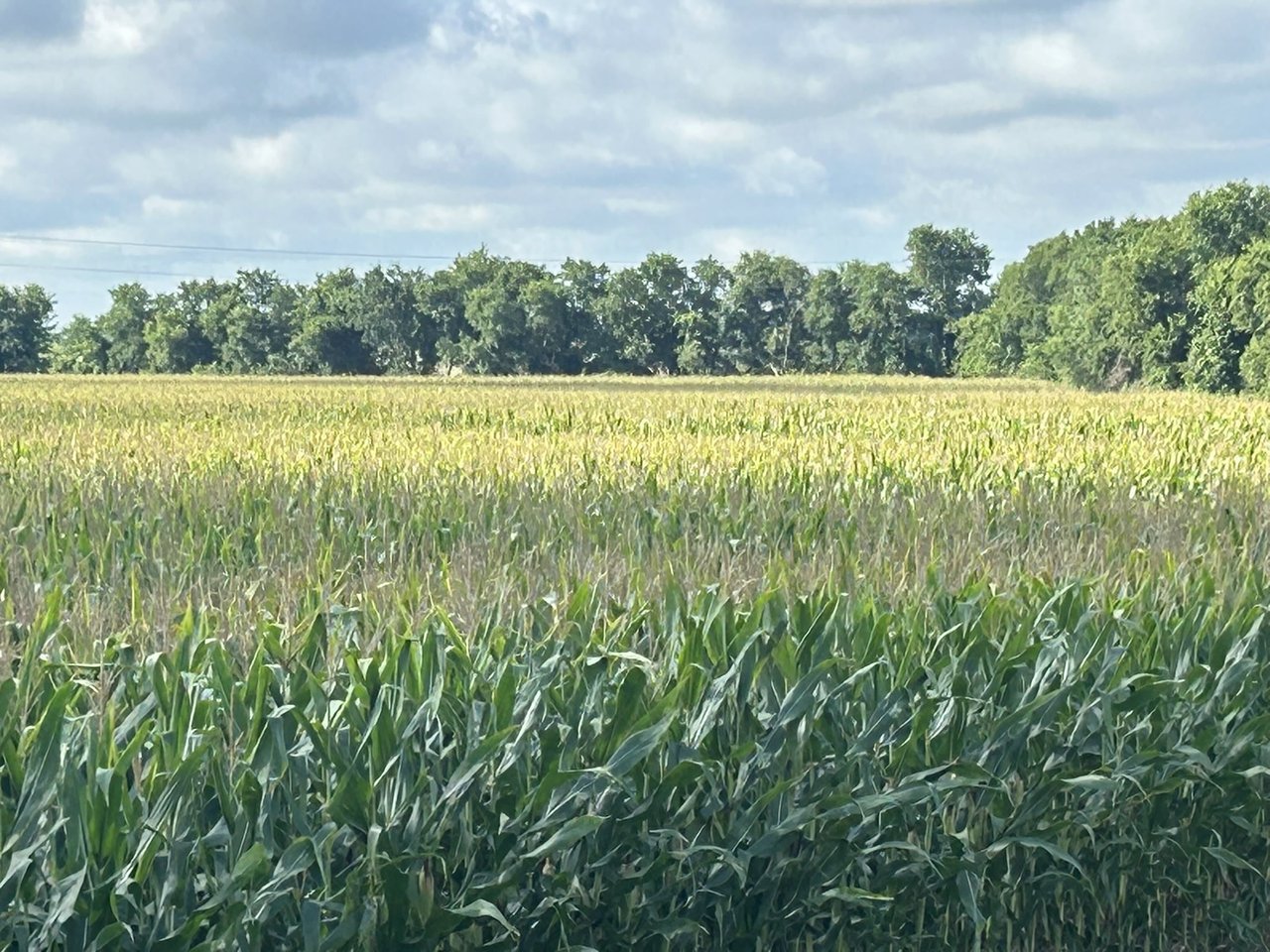 25 Acres in Temple, Tx