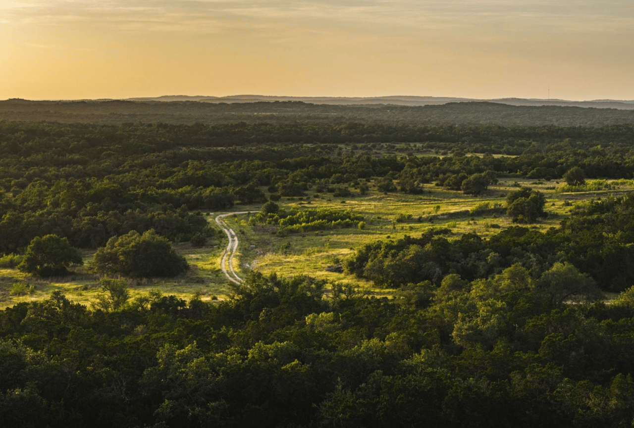 Aerial view of wooded ranchland with grassy clearings and a winding dirt track.