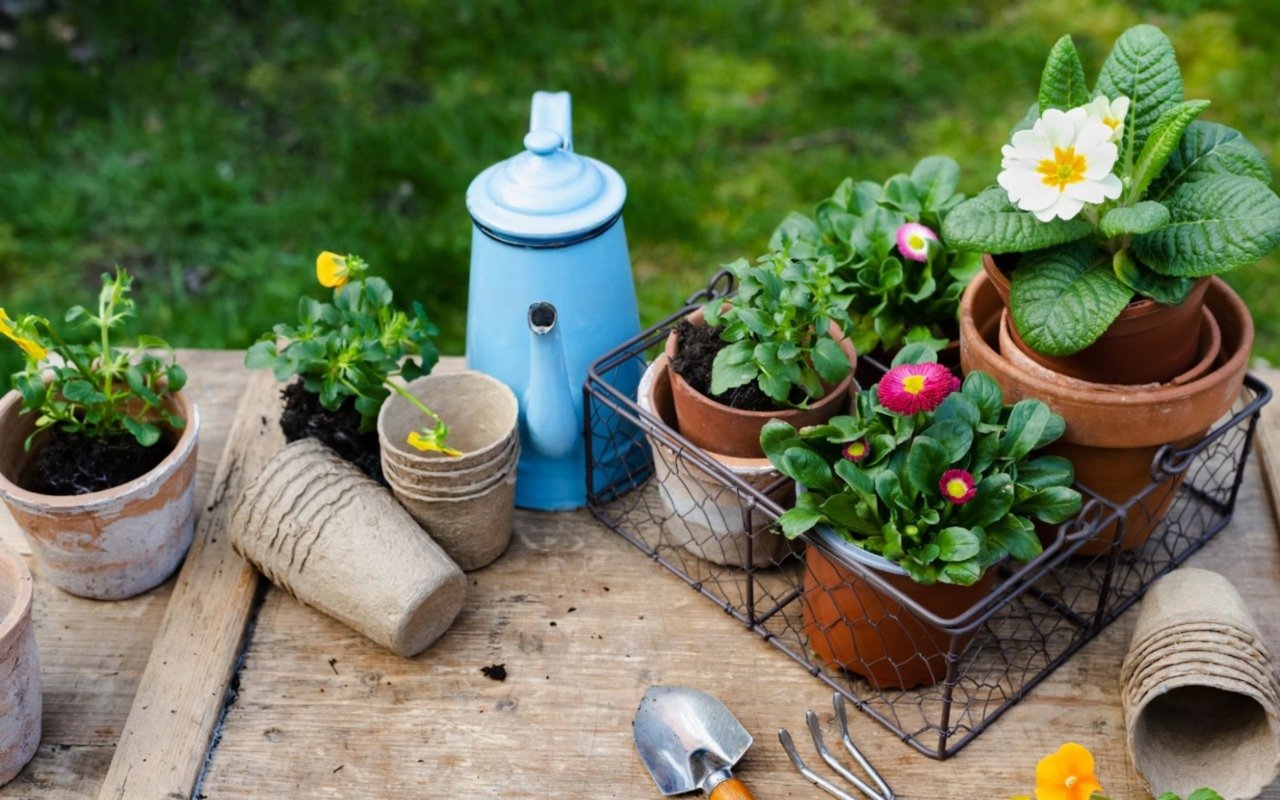 A Beginner’s Guide to Starting a Garden at Home