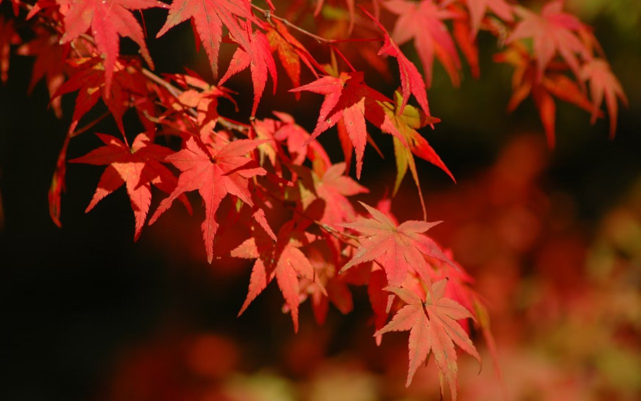 Fall Fun in the East Bay: It’s Time to Spice up the Season!