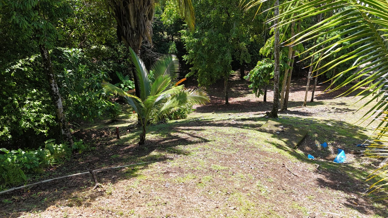 Walk to the Playitas beach, Titlled Building lot