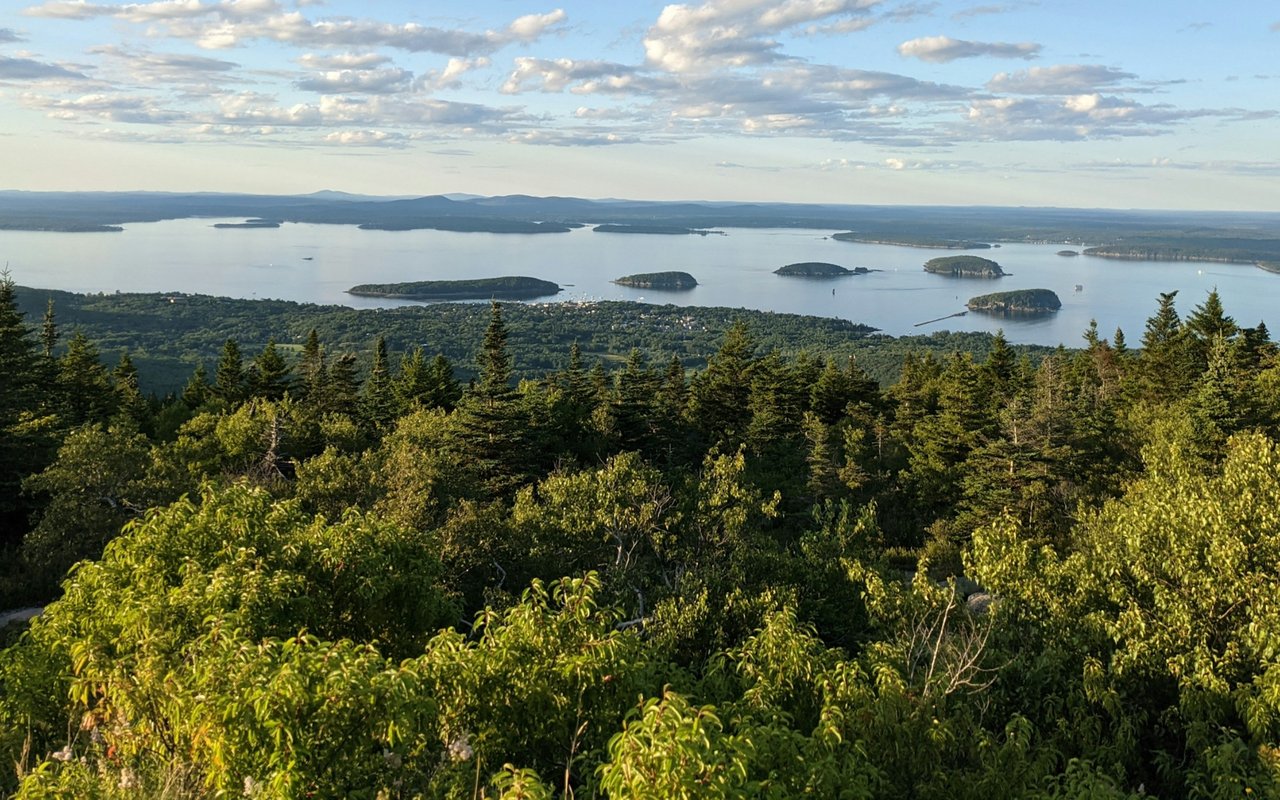 Panoramic view of a lake dotted with wooded islands, framed by dense green forest.