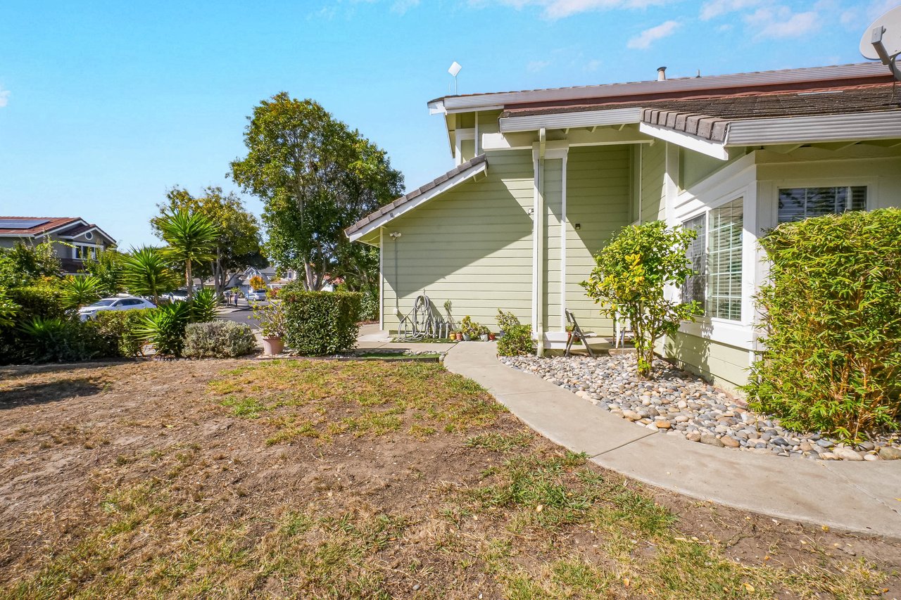 Light green house with a concrete walkway, rock landscaping, and a dry front yard.