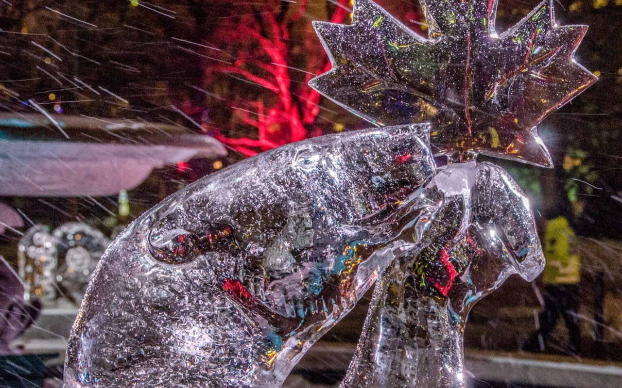 So You Want to Be an Ice Sculptor?