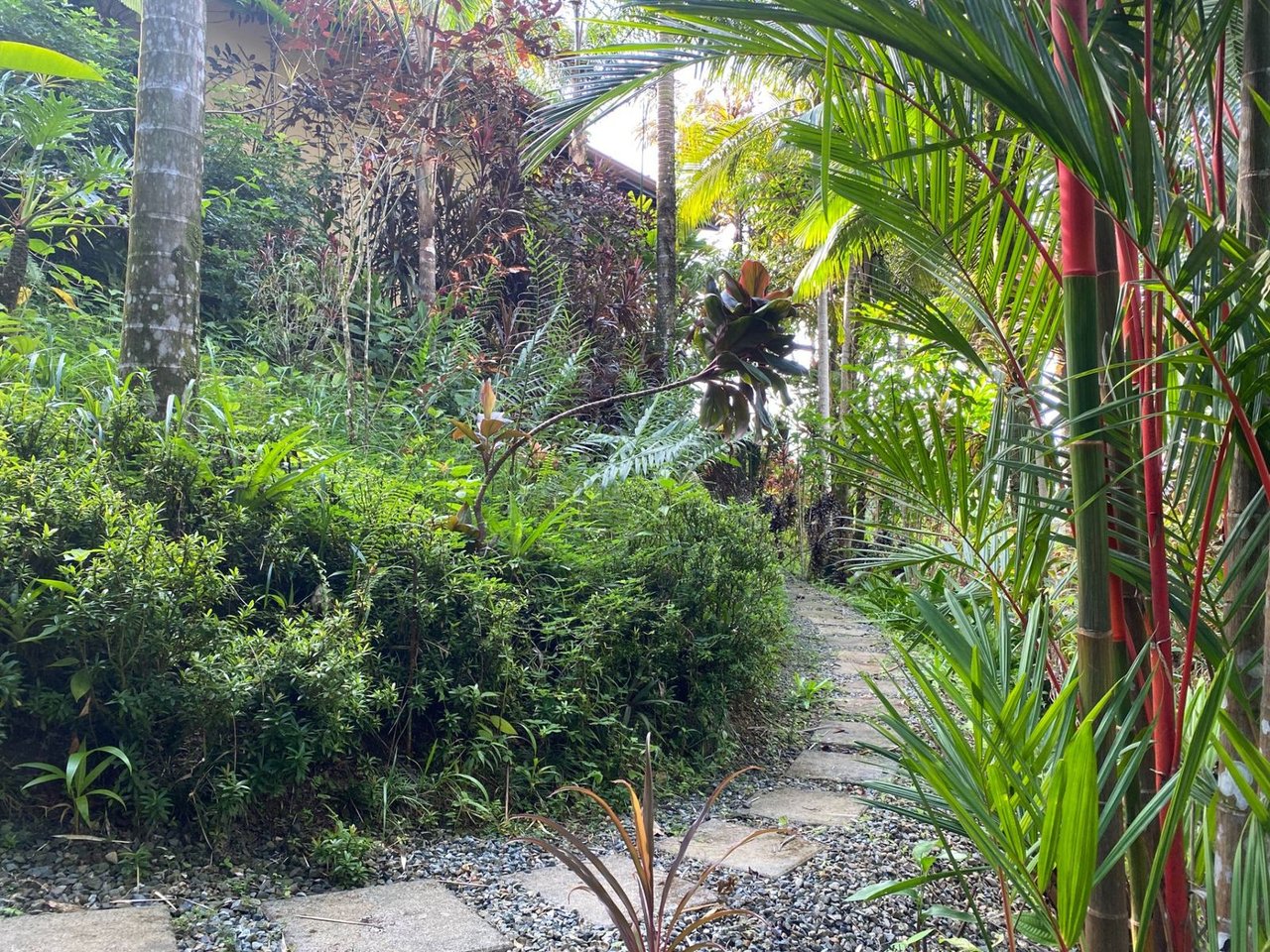 Jungle Villa with Infinity Pool, Uvita, Puntarenas
