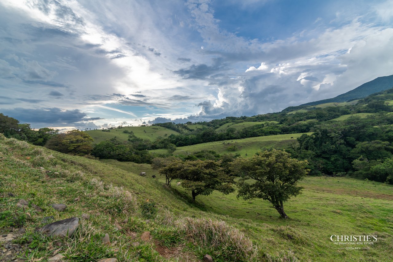 Origins Mineral: A Rare Landholding in Guanacaste’s Volcanic Highlands