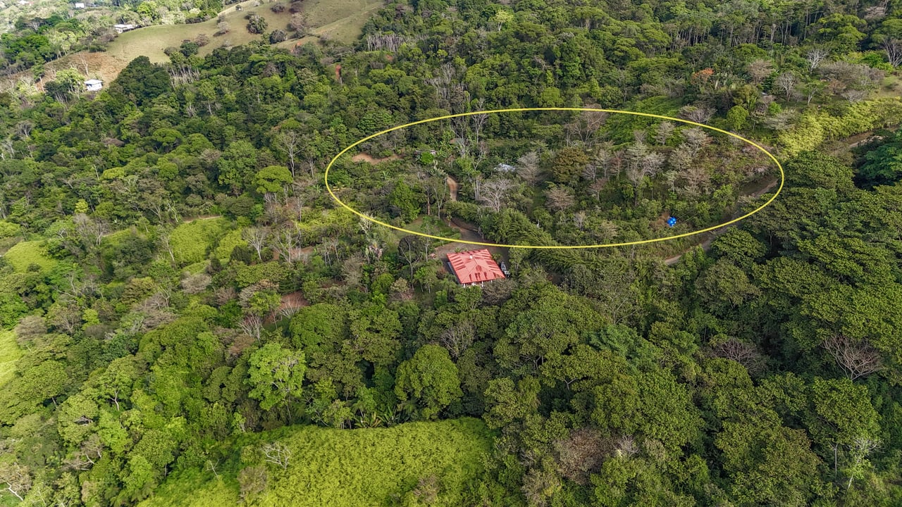 Tinamastes Costa Rica Property with Home, Yoga Deck & Land