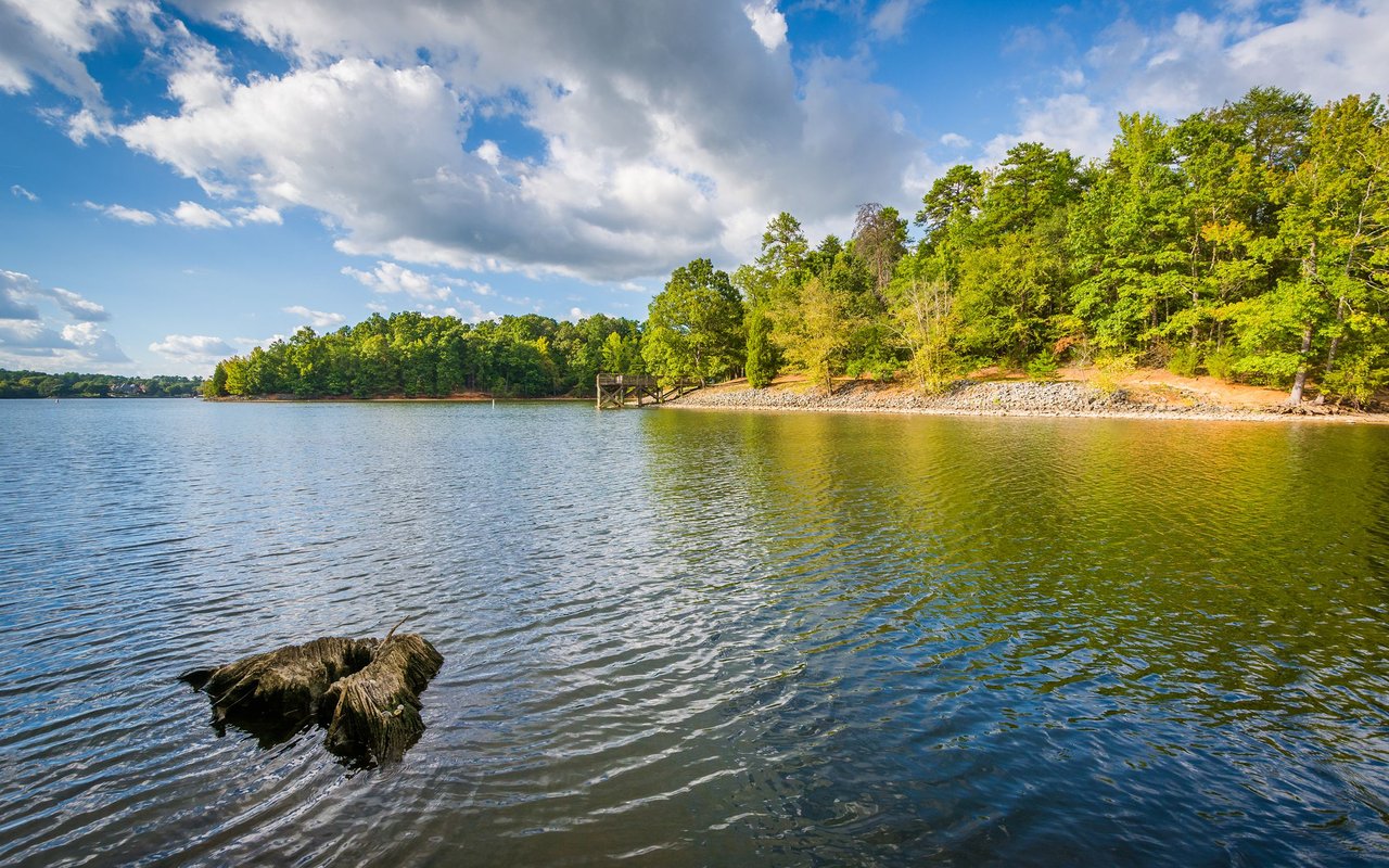 Lake Wylie & Neighborhood Guide | Homes for Sale