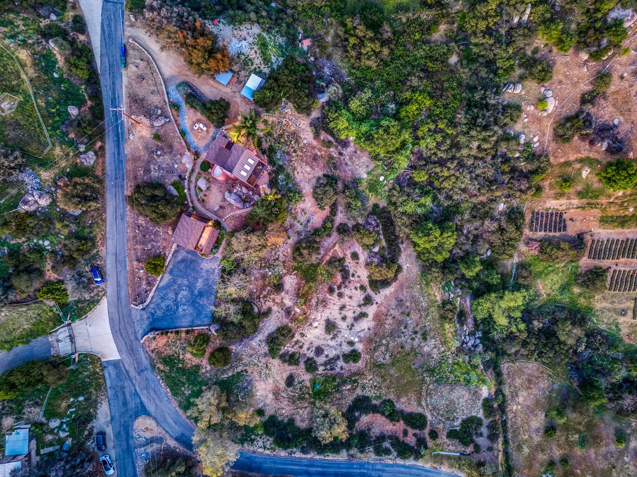 Hidden Gem!