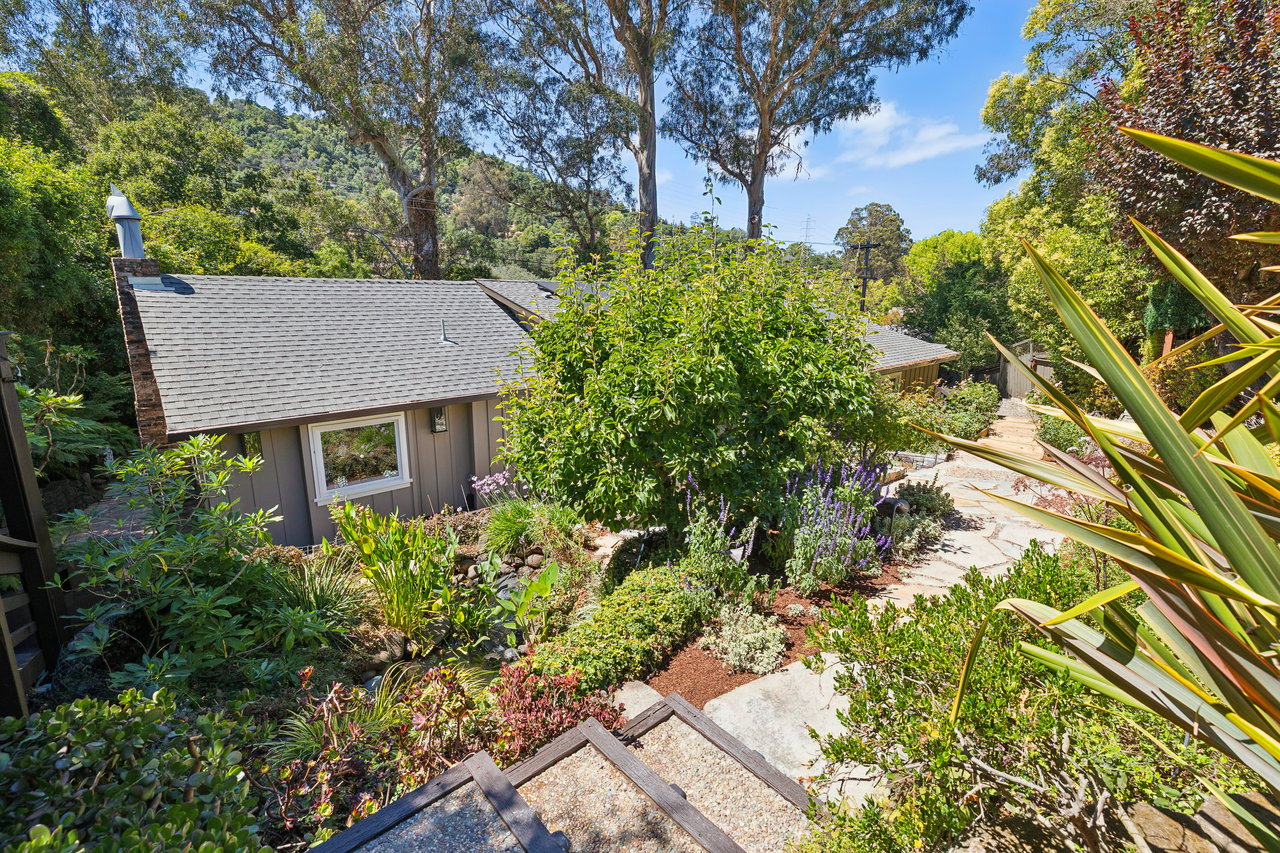 $310,000 Over Asking: The Story Behind 1407 Casa Buena Dr