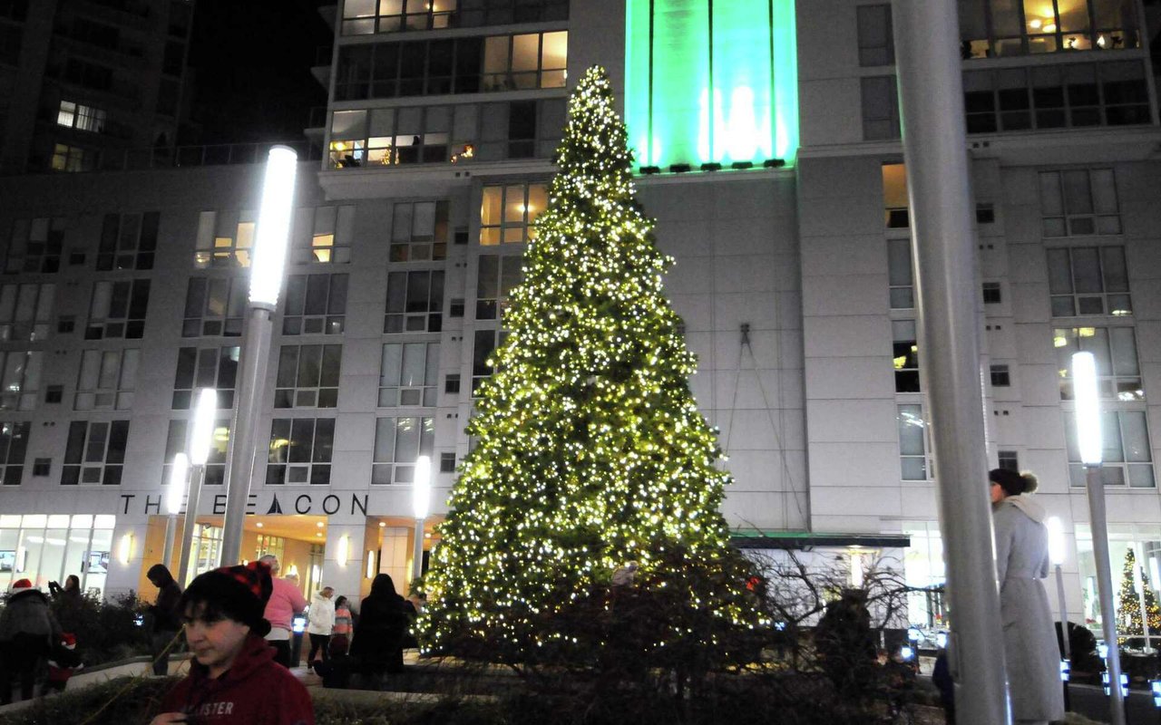 The Ultimate Guide to Christmas Tree Lightings in Fairfield County 2024