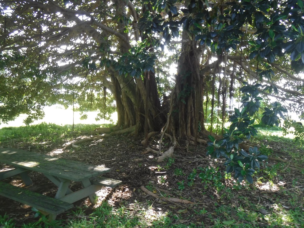 HANALEI GARDEN FARMS ESTATES NORTHSHORE KAUAI