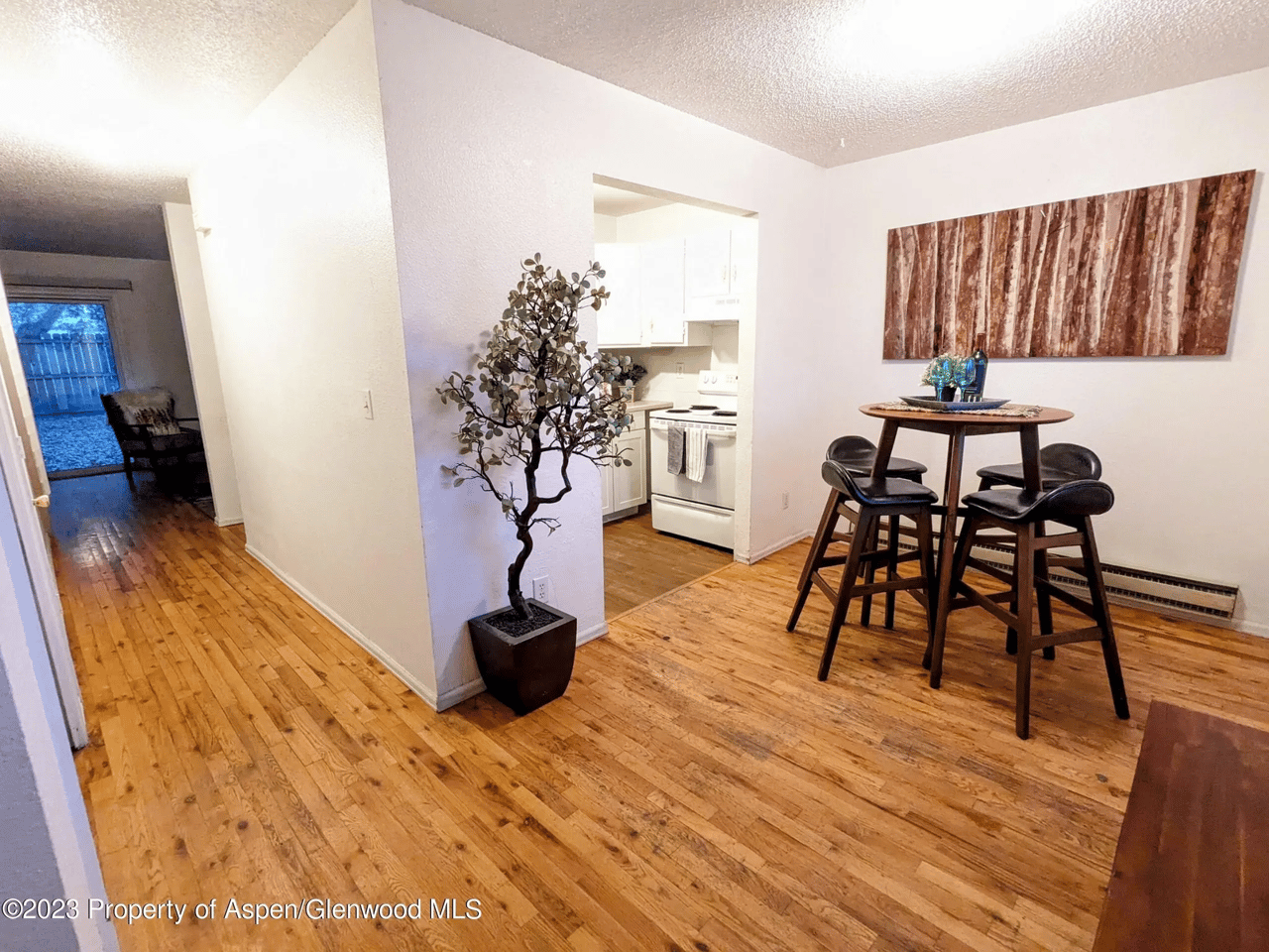 387 S 9th St