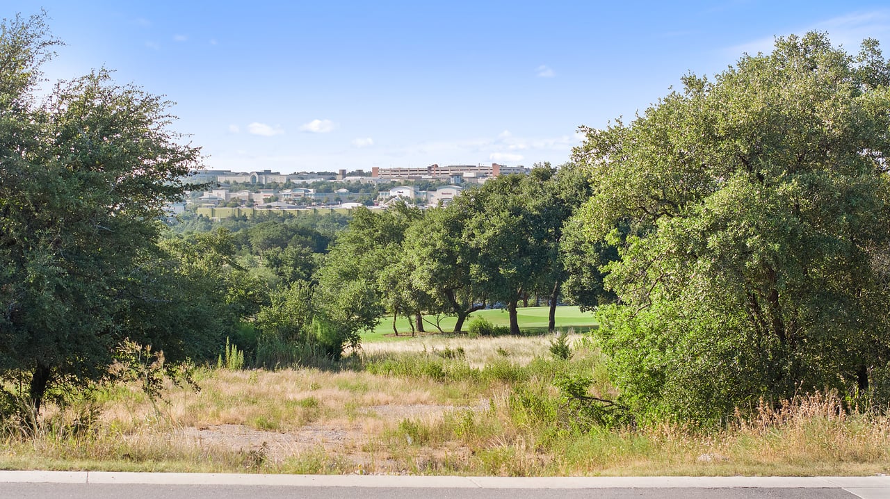 12801 Flowering Senna BND