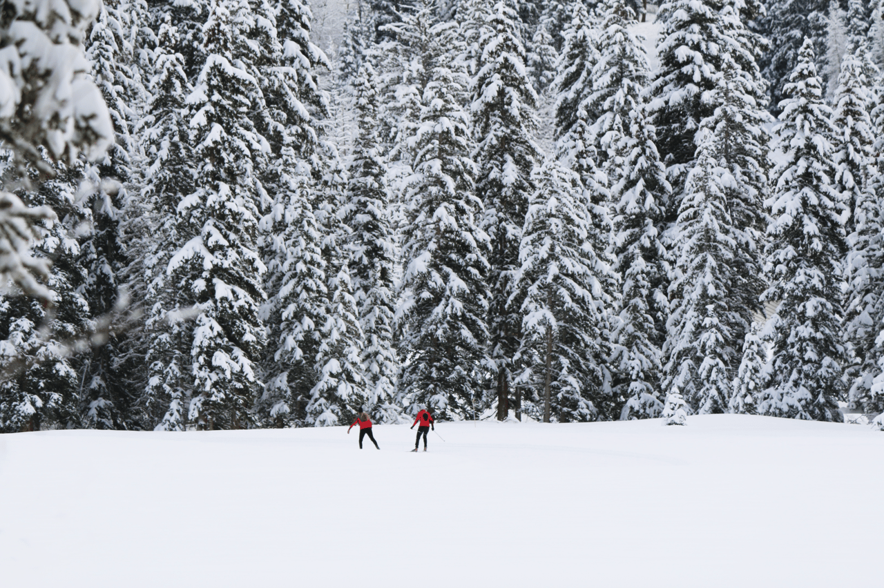 wo cross-country skiers at the snowy Northstar Preserve in East Aspen, surrounded by snow-covered evergreen trees, showcasing winter recreation options in the area.