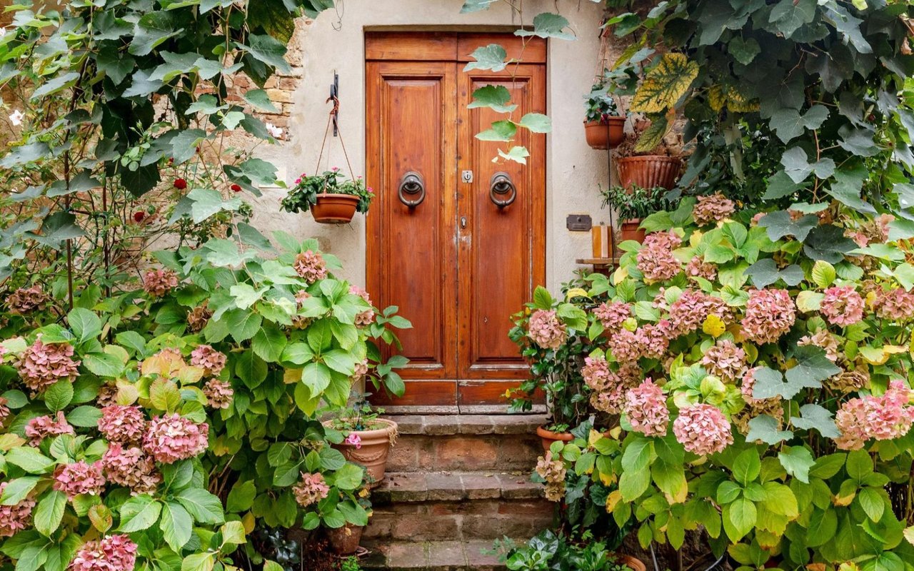 The Role of Landscaping in Boosting Your Home's Aesthetic Appeal