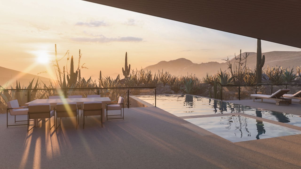 Life in the Tortolita Mountains