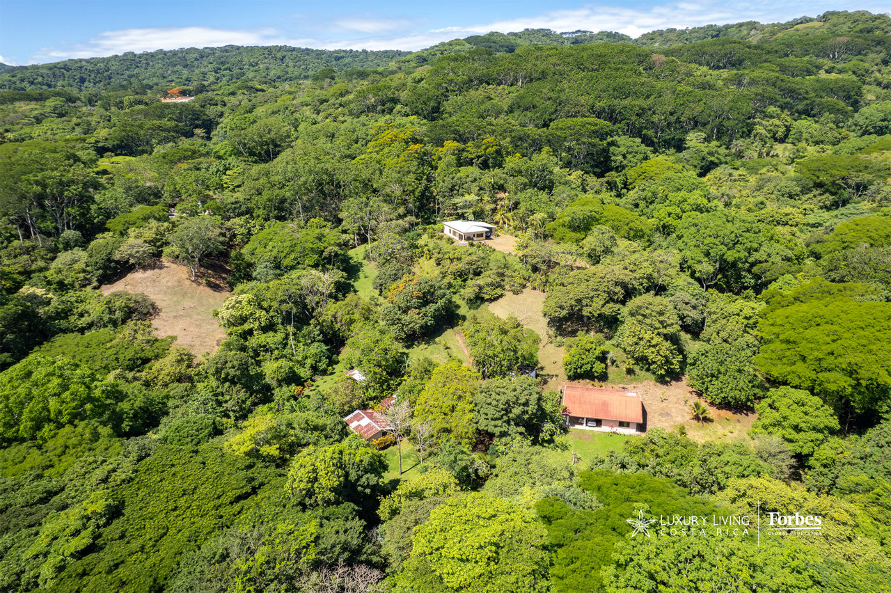 Aerial view of forested acreage with two small houses and open clearings.