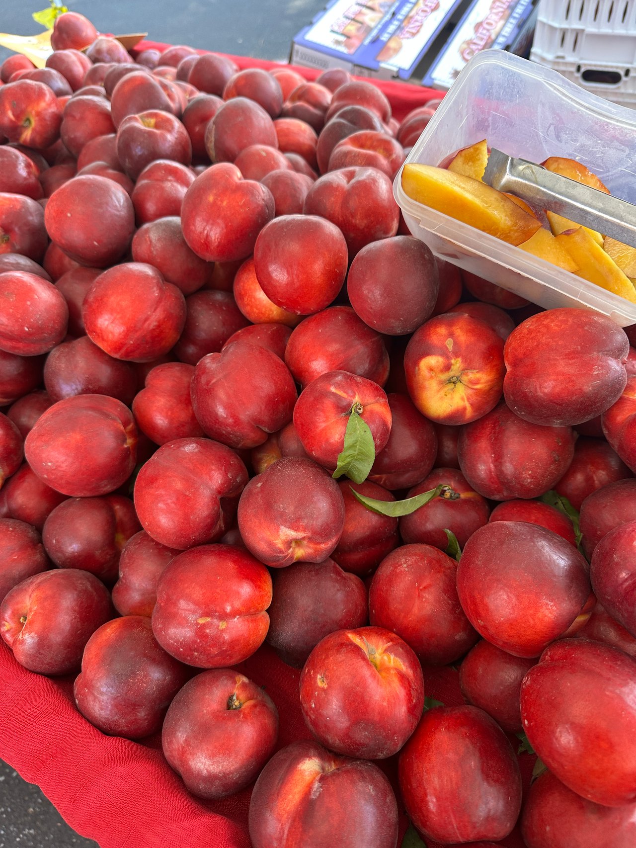 7 Best Grocery Stores on the San Mateo Coast | Ocean Element