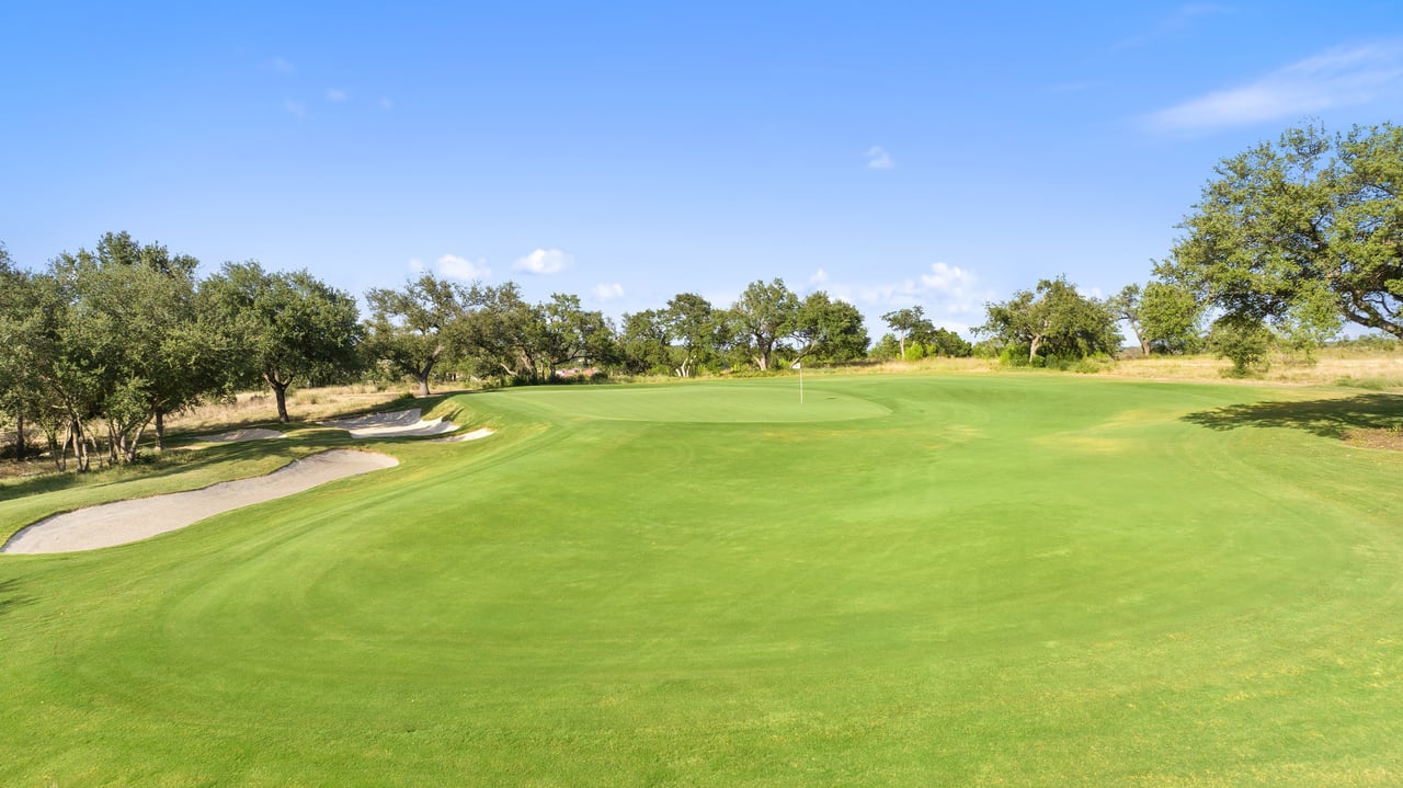 12801 Flowering Senna BND