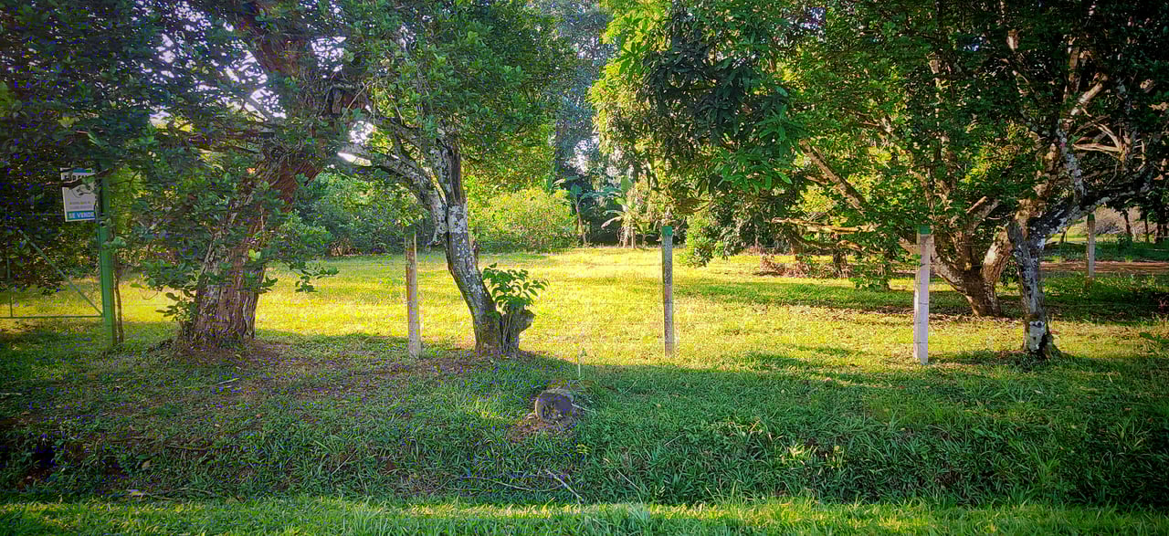 PRIME 1,100 M² LOT IN RESIDENCIAL LOS VIEJOS – FLAT, PRIVATE, AND READY TO BUILD