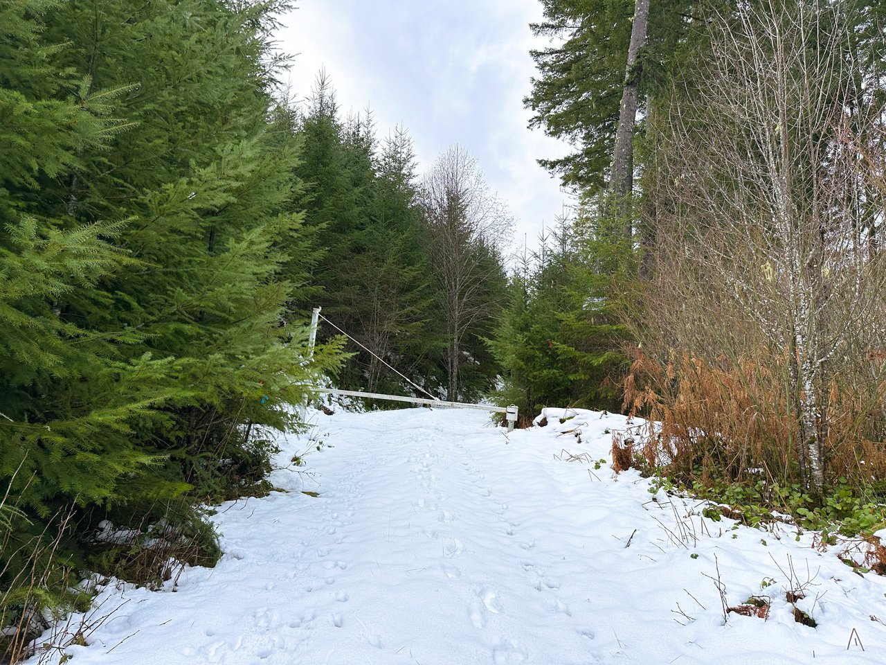 ARC Woods